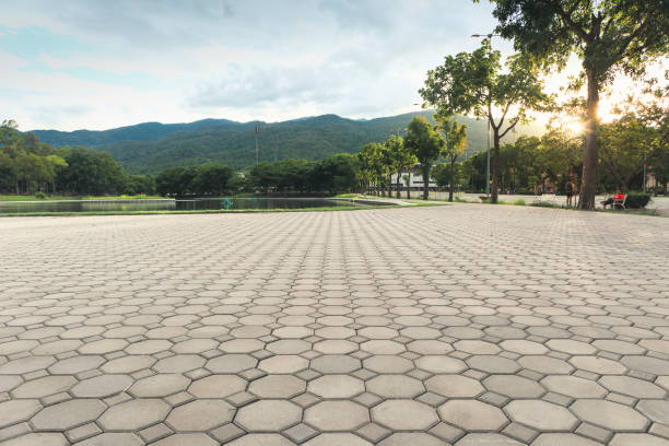 Best Driveway Repair Near Me  in South Fulton, TN